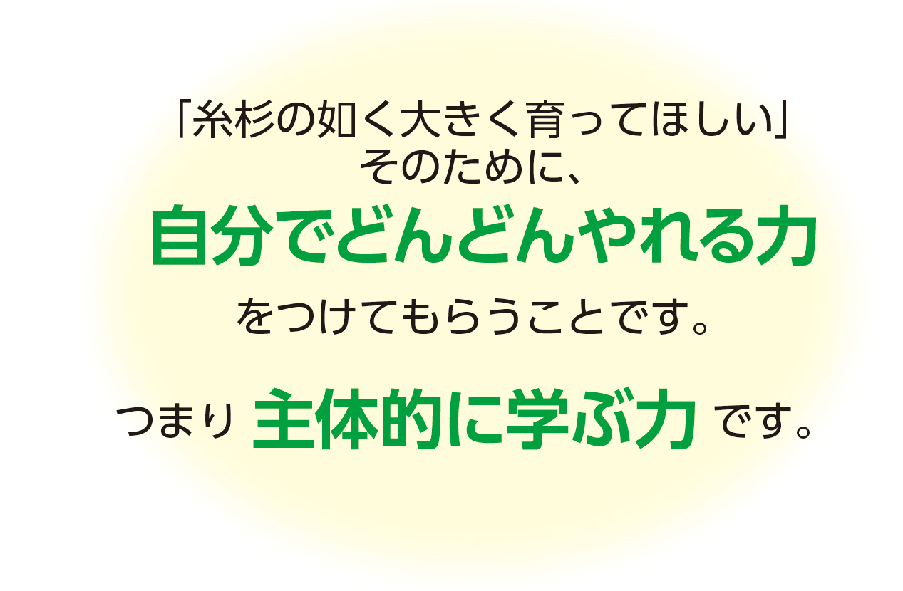 糸杉の如く大きく育ってほしい